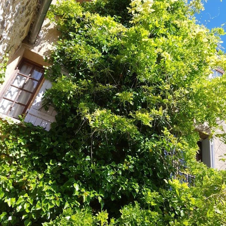 Le Balcon Apartamento Camps-sur-l'Agly Exterior foto