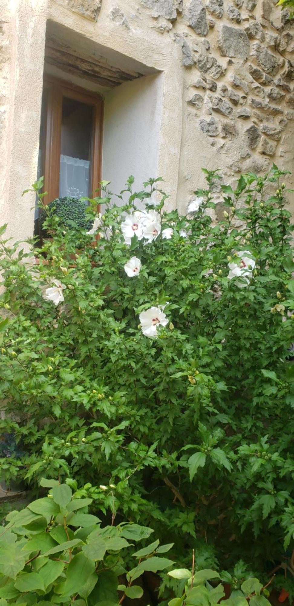 Le Balcon Apartamento Camps-sur-l'Agly Exterior foto